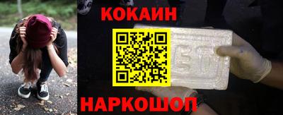 крисы Камышлов