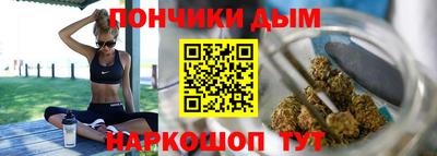 крисы Камышлов