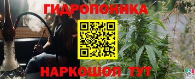 крисы Камышлов
