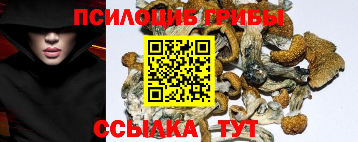 Кувандык  Псилоцибиновые грибы Cubensis  Вход с VPN  Галлюциногенные грибы ЛСД 